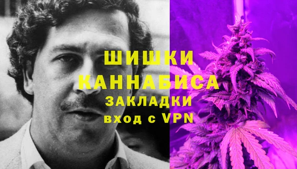 гидра Михайловск