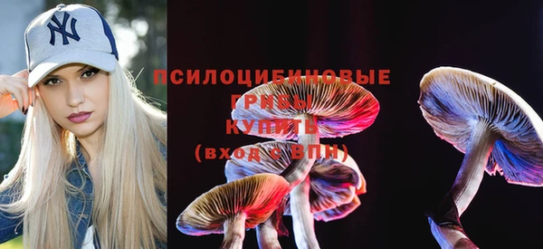 гидра Михайловск