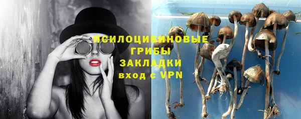 гидра Михайловск