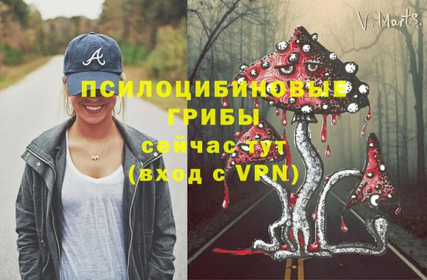 гидра Михайловск